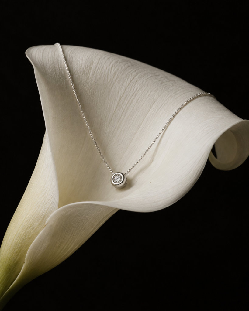 Collar Plata Punto de Luz